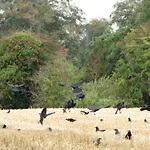 בית אירוח Rolestown Farm