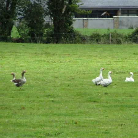 Pansiyon Rolestown Farm *