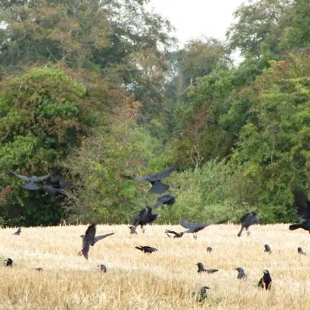 Pansiyon Rolestown Farm