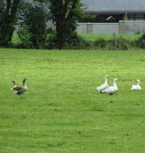 Проживание в семье Rolestown Farm *